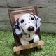 羊毛フェルト 犬　 ダルメシアン　フレーム　 愛犬 ぬいぐるみ 　うちの子　 ペット　オーダー　リアル　人形の画像