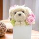 もこペット【白犬】 プリザーブドフラワー  毛糸 犬  花 ペット お供え 誕生日 プレゼントの画像