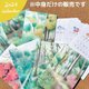 2024年版カレンダー（中身のみ）★送料無料★