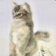 オーダーメイド☆羊毛フェルトのソマリルディ子猫の画像