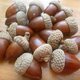 帽子付きドングリ（焦茶アベマキ）　15個の画像