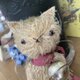 ハンドメイド＊ベージュの猫＊ぬいぐるみ＊kitten＊spirit animal＊グラスアイ＊モヘア＊の画像