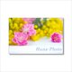 1626) 桃の花とミモザ      ポストカード5枚組　の画像
