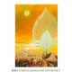 「花信風の通い路」　夕日　雲　ほっこり癒しのイラストポストカード2枚組No.087の画像