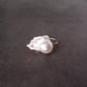 Baroque Pearl Ring【GP】大粒 バロックパール 指輪（11号フリー／Fishtail）