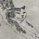 猫　銅版画　額入り　の画像