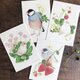 ポストカード『文鳥＊花と苺』4種類セットの画像