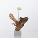 流木一輪挿し | driftwood flowervase | mushi no.1の画像