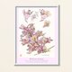 A4サイズ インクジェット高品質専用紙ポスター ベニバナトチノキの花 プラ額入り　の画像
