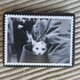 イギリス　猫切手ブローチ 9644の画像