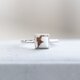 『Horse』Mini Wild Horse Square RING / SV925 馬 天然石の画像