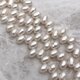 クレオ穴 淡水パール ライス 雫 ドロップ ホワイト系 本真珠 5mm 8mm 9mm 小粒 中粒 5粒 ルースの画像