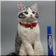 羊毛フェルト　猫　サバシロ猫　サバシロ　ねこ　ネコ　猫フィギュアの画像