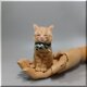 羊毛フェルト　猫　茶トラ猫さん　チャトラ　ねこ　ネコ　猫フィギュアの画像