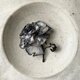 『モノトーンの洒落薔薇』の画像
