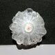 ソーラークォーツ[150] 29x30mm 45Cts　天然石 ／ ルース ／カボションの画像