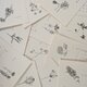 《50%OFF》２０２５寄添花  Ａ５カレンダーの画像