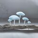 ガラスのキノコ　青マット　5本の画像