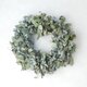 ドライユーカリ･リース/グリーンカラーMサイズ（直径約25～29㎝）