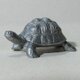 リクガメ（ミニ）の画像