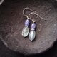 【SV】Bicolor Earrings／タンザナイト×カイヤナイト ピアス（Oval）の画像