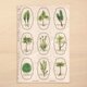苔標本ステッカーの画像