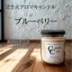【焚き火アロマキャンドル】ブルーベリー【ソイキャンドル】