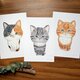 3匹の猫 (ポストカード3枚入り) クレパス画