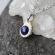 鹿の角 ラピスラズリのネックレス
