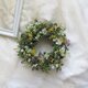 真珠葉ミモザとオレガノのリース