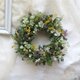 (再販)真珠葉ミモザとオレガノのリース