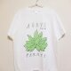 agave parryi t-shirtsの画像