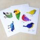 鳥のカード3種の画像
