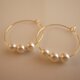 ＊再販＊ pearl hoop earringsの画像