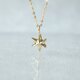 K10 Star Necklaceの画像