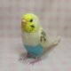羊毛インコ　ぬいぐるみ　セキセイインコ　４色ハルクイン系　鼻の色変更可能　受注作成　ライフサイズ　羊毛インコ　羊毛フェルト