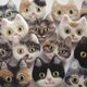 【オーダーメイド】猫顔フェルトブローチの画像