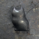 ふっくら黒猫の帯留めの画像