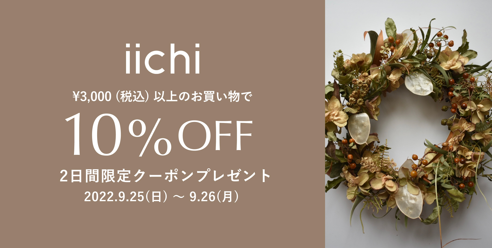 2日間限定クーポンプレゼント