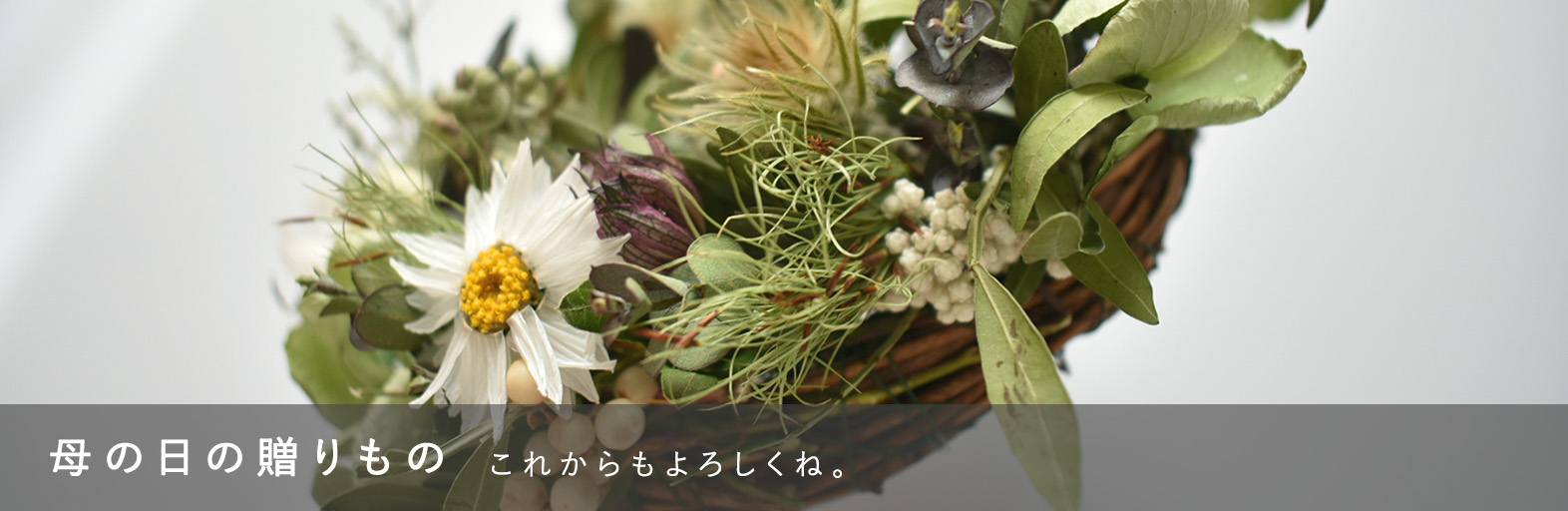 母の日の贈りもの