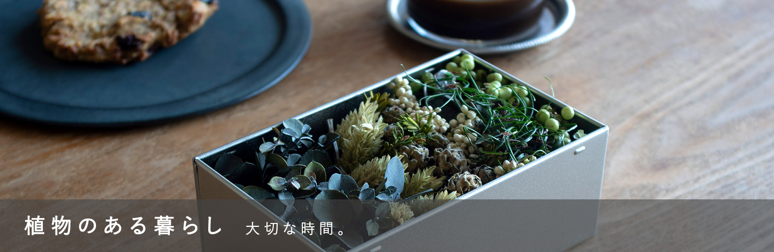 植物のある暮らし